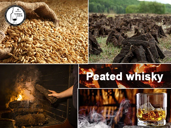 23.01.2025 - Peated whisky .. na slepo